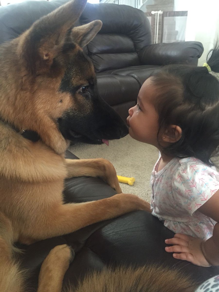 honky_tonk's tweet image. At what point do we begin to form a wall of consciousness?

私たちはいつ頃から意識の壁を持つのでしょうか？
#separation #分離 #Oneness #合一
RP @bellalilli161