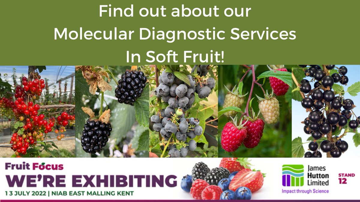 Just 2 days left until #FruitFocus  Come by our stand to find out about our #MolecularDiagnostics work from using trait markers during breeding programmes to DNA fingerprinting.  Head to our website to find out how our services can help you  huttonltd.com/services/molec… #cropscience