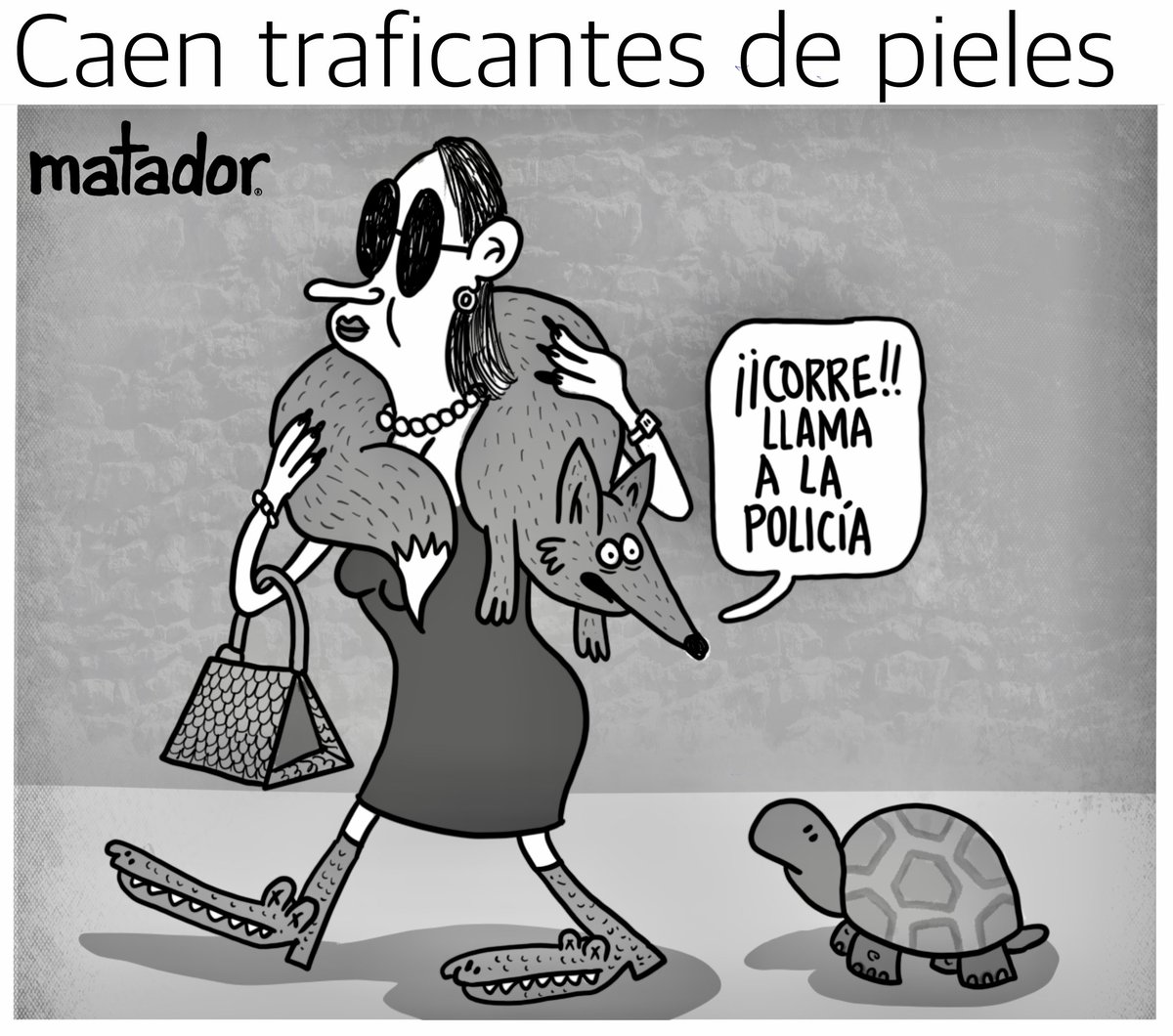 Matador000's tweet photo. https://t.co/Wtmwl6vrmm