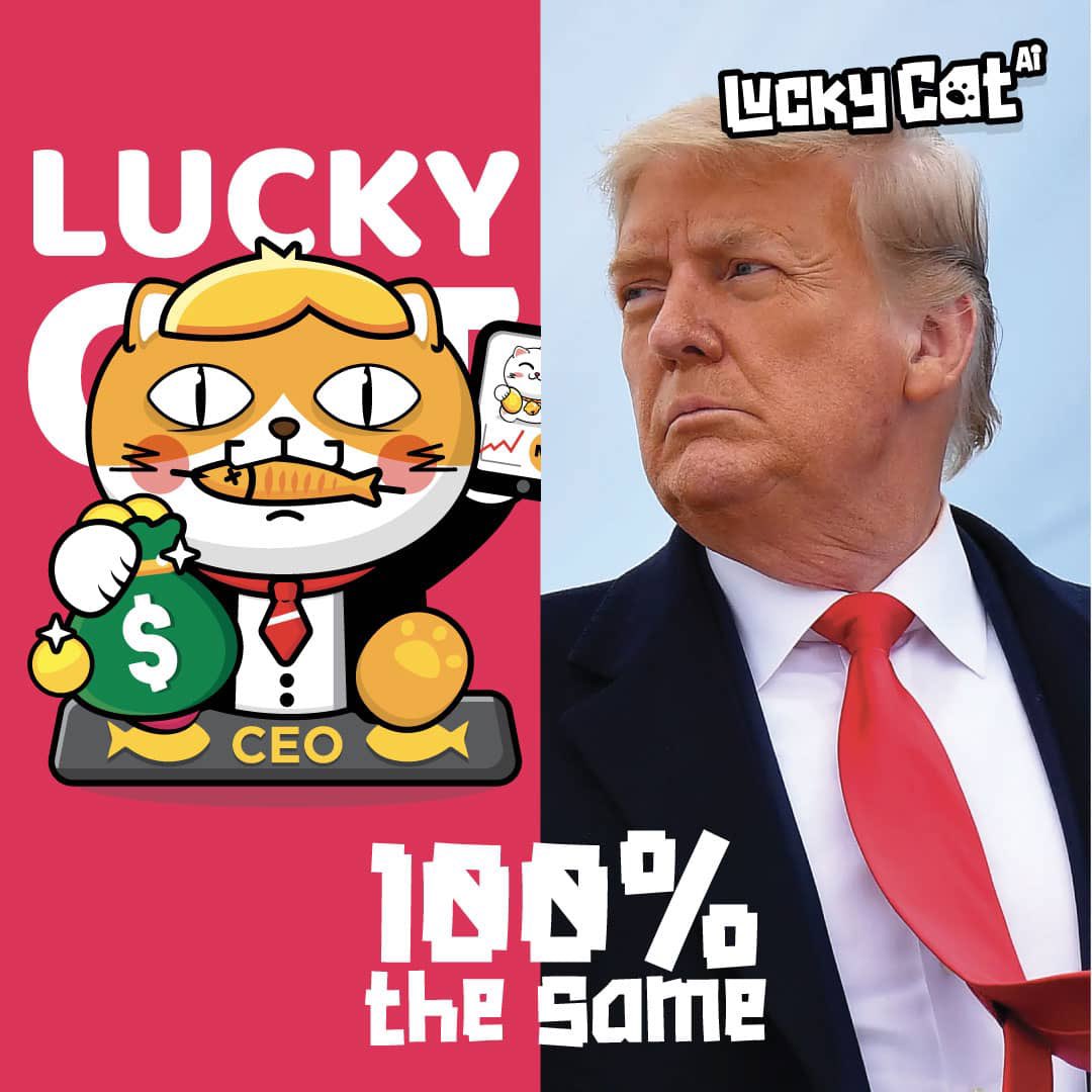 Guess what !?! We got a Donald Meow in the house 🐾 a CEO Cat🐱 here to bang the world and the WEB 3 ! Just like what trump do. 🤣

#luckycat 
#lucky #cat #NFTs
#COMMUNITY #Web3 
#Metagenesisfrens #Metaverse