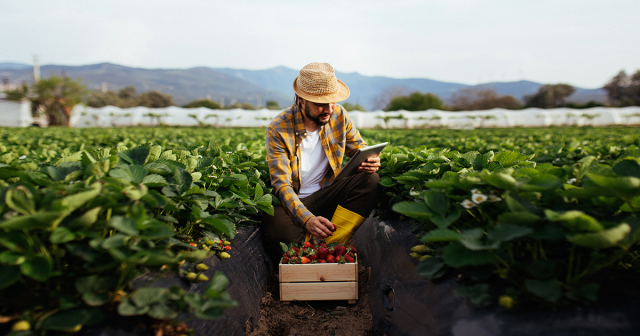 m3centurion's tweet photo. Explore how @VodafoneBiz is using #IoT to help farmers safeguard food supply and reduce carbon emission: #sustainability https://t.co/S7IPJWFNKb https://t.co/GbPz0Tv9Ke
