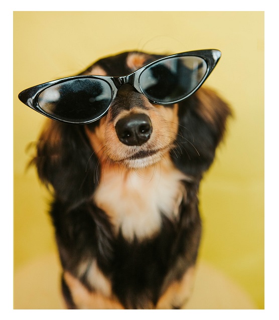 libertyhr2's tweet photo. We hope you are enjoying the hot spell &amp; staying cool &amp; hydrated?

We've been extra busy recently so we're closing the office at 3.30 pm every day this week.

If you have an URGENT need to contact us, please leave us a Voicemail &amp; we'll respond as soon as we can.

Take care💛💚🧡 https://t.co/KqSlb5W1v1