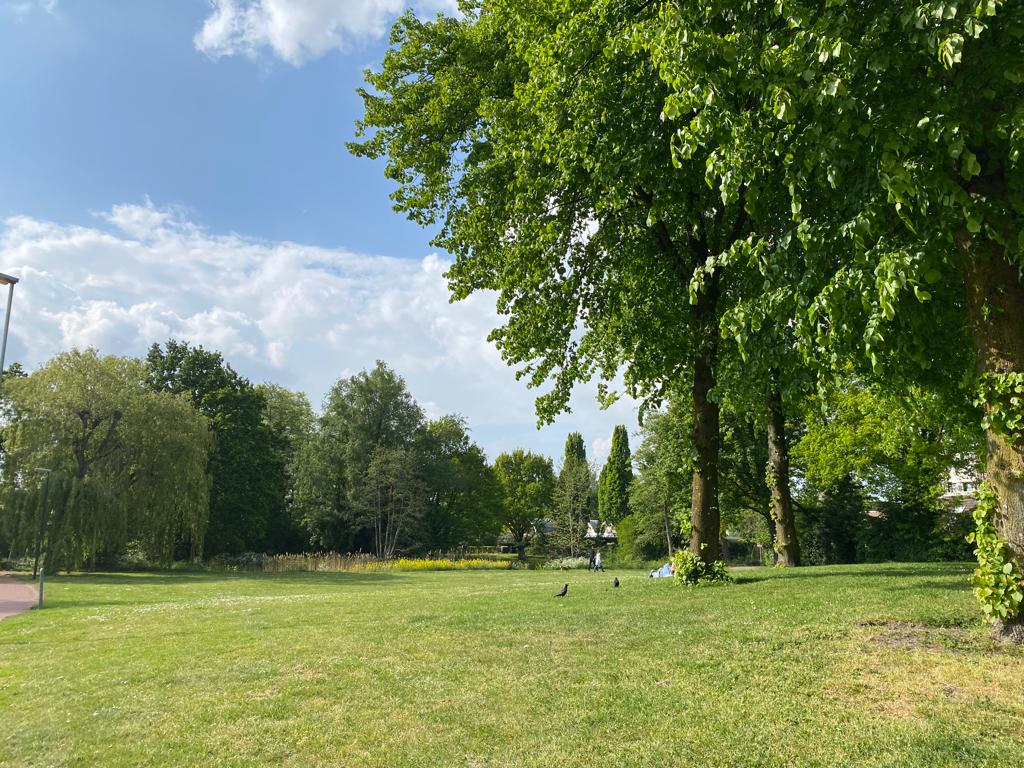 Gemeente Breda tweet media