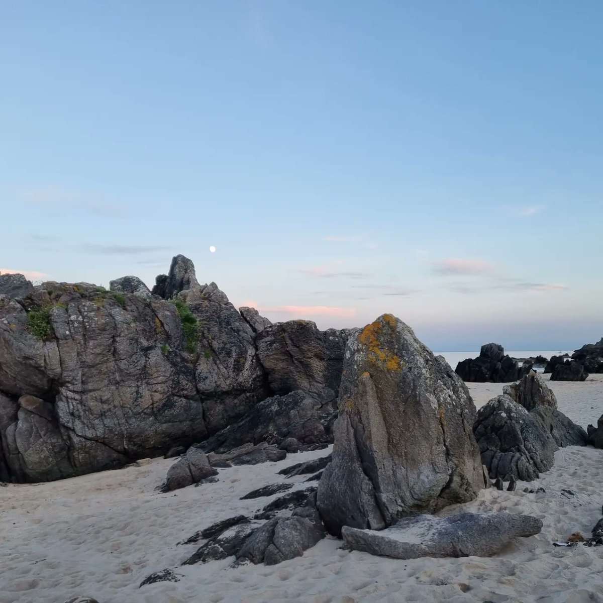 Back to # Islay! Finally! 🥳

Wildcamping at The Singing Sands. Absolute bliss. ❤