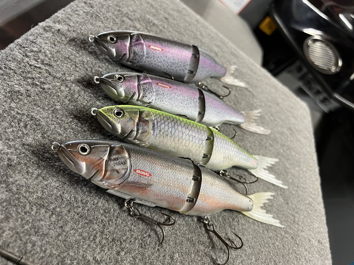 シグナル 黒龍260 【公式通販】