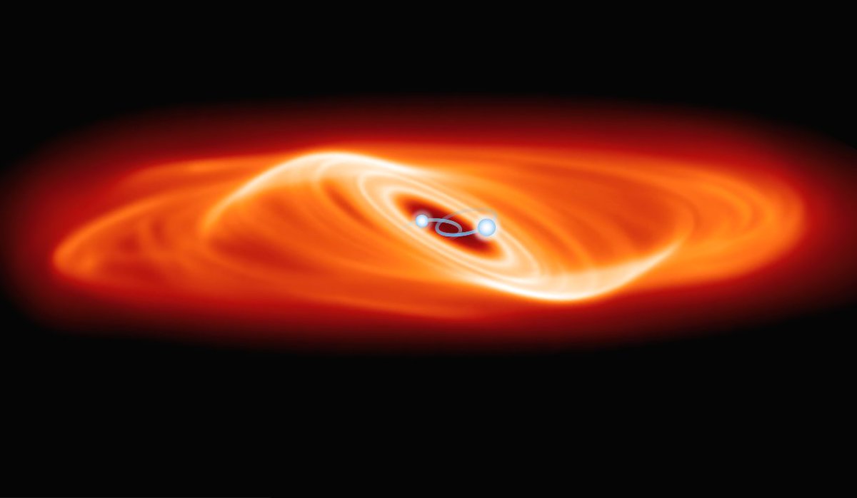 Tsinghua_Uni's tweet photo. Two rare #stellarsystems that consist of two central stars and an inclined disk of gas and dust have been found. Named Bernhard-1 and 2, the discovery of such peculiar systems is crucial for understanding planet formation. More: https://t.co/FLdoOJZKgC https://t.co/0Qyj1wrYGX