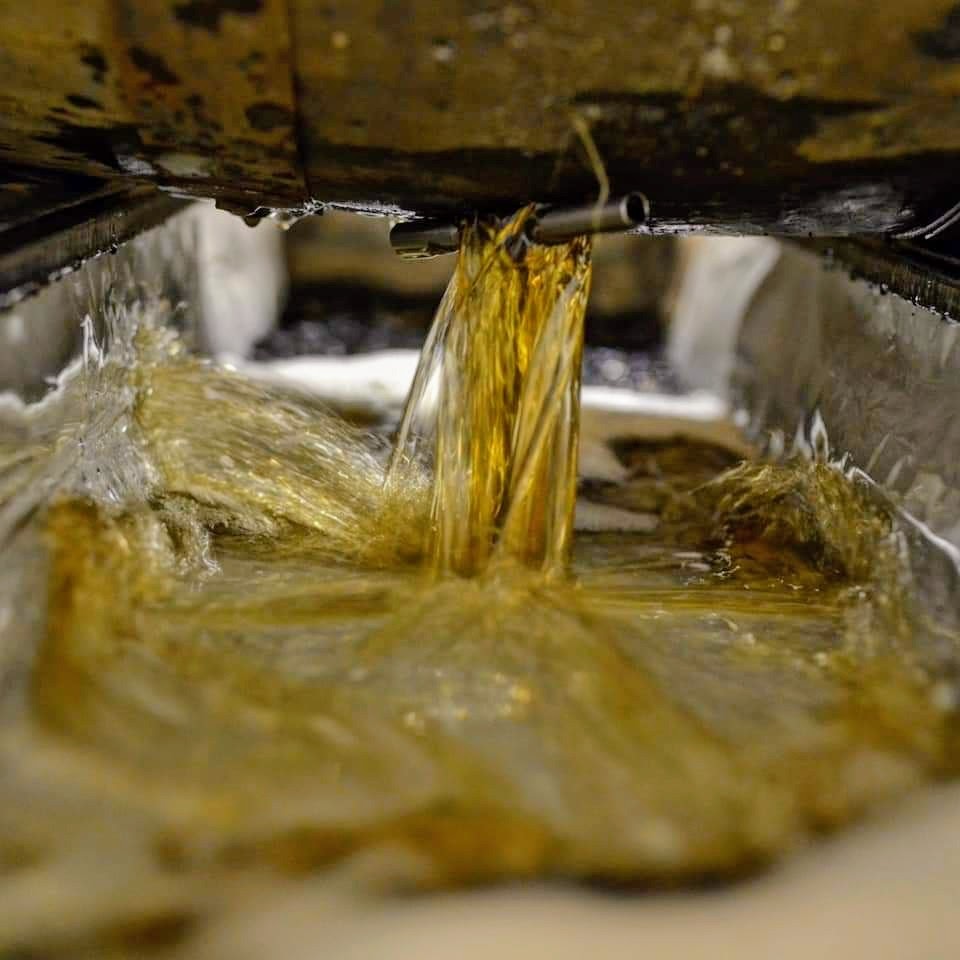 Jehosephat Trimbleshank tweet media