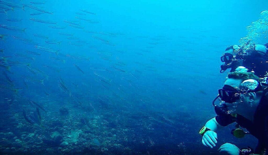 Ronald Bos tweet media