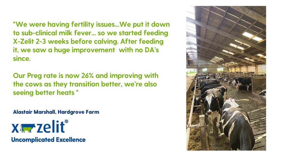 X_Zelit's tweet photo. We keep saying it and so do our customers - its the subclicnial milk fever issues that X-Zelit really helps to overcome!
#drycows #subclinicalmilkfever #metabolicdisorders #easydrycowmanagment #X_Zelit https://t.co/YlT0bHrzKk