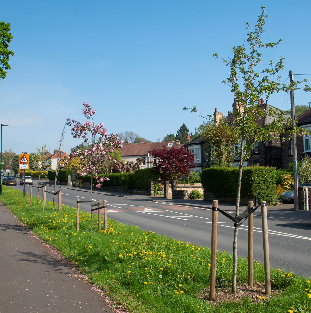 With hot weather forecast to continue this wk, spare a thought for our young trees who would really benefit from extra watering 💧 We’re getting to them as fast as we can but if you're able to, pls water at the base of the 🌳 either early or later in the day. Thank you #Sheffield