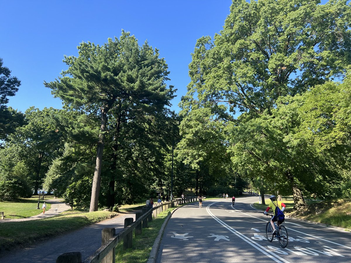 SandraNavidi's tweet photo. Have a great week! Biking @centralparknyc #CentralPark #BigLoop #NewYork #NewYorkCity #NYC #NY #UpperEastSide #UES #Manhattan #USA #Monday #Montag
 
Lesetipp @handelsblatt: #FutureProofMindset https://t.co/Mc3PqfK3HX https://t.co/Fgb8fAm7Ik