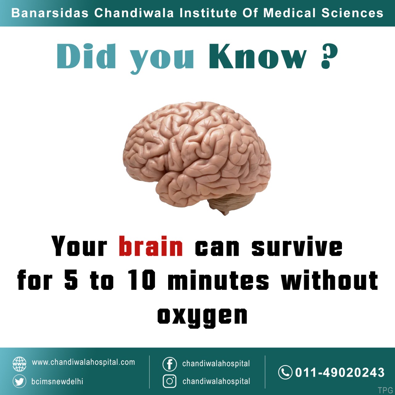 How Long Can The Brain Go Without Oxygen? What Happens?