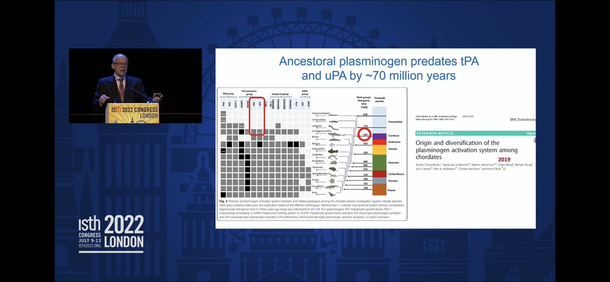 johnmatt's tweet photo. Plasminogen predates tPA by 70 million years! Fascinating plenary by Dr. Robert Medcalf at #ISTH2022 https://t.co/kaTEGztgYD