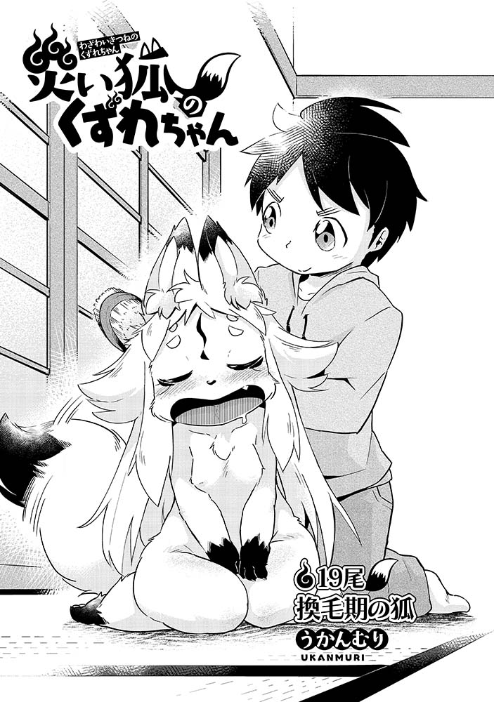 ㊗️チラッと予告編リベンジ㊗️
#災い狐のくずれちゃん
7月13日(水)発売
4️⃣巻収録の【第19話】

センシティブすぎて見れなくなってたので…画像変更で再投稿!
くずれが✨ブラッシング✨してもらうだけなんだけどね…
どんな風にセンシティブなのかコミックスで確認しよう💕
⏩️https://t.co/YtNNbPaB4O 