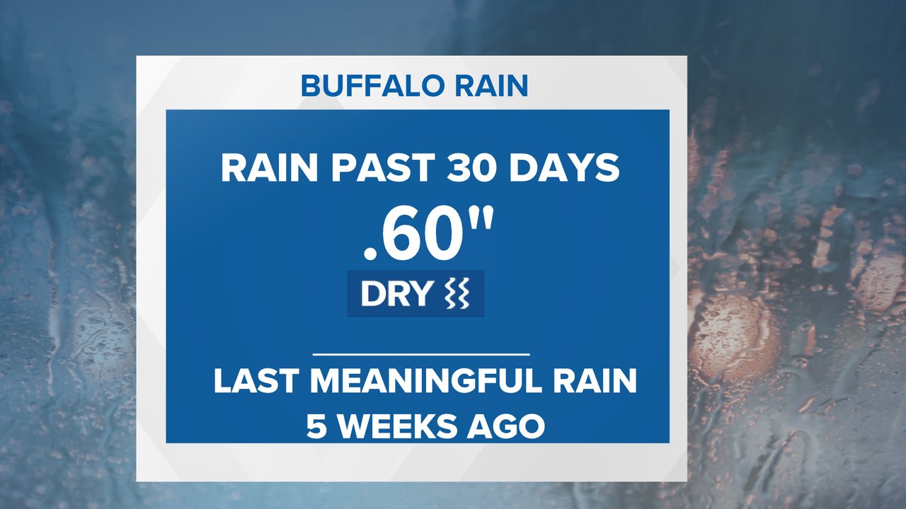 Patrick Hammer (pathammer) / Twitter