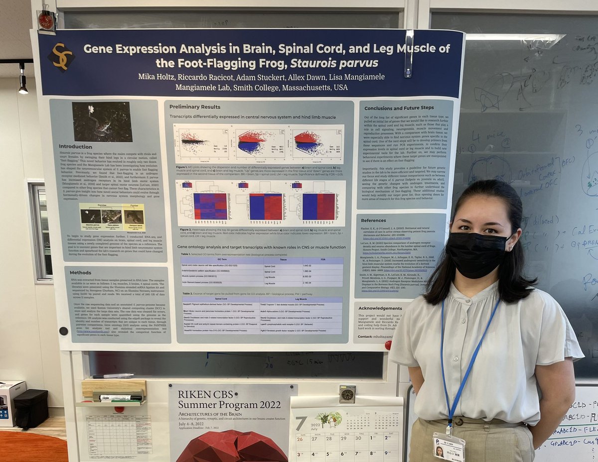 holtz_mika's tweet image. Presented my work from the Mangiamele Lab during last week’s lecture week and today to the Nagai Lab! #CBS_Summer @ibroSecretariat
