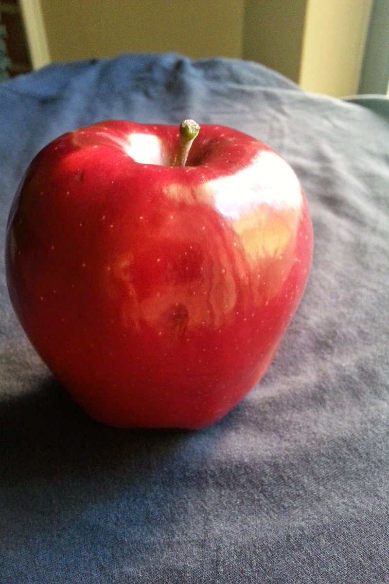 rhtbapat's tweet image. My first photo with first DSLR camera I bought

#DSLR #FirstCamera