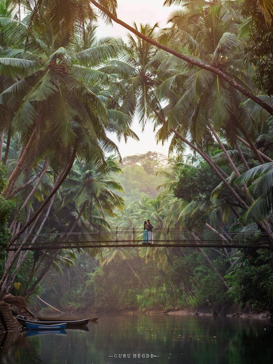 VisitUdupi's tweet photo. World's most Beautiful Pre-Wedding Shoot Location 👩‍❤️‍👨

📍Honnavar, Karnataka, India 🇮🇳
🚖 2 hr drive from Udupi https://t.co/RDwjJBdoH9