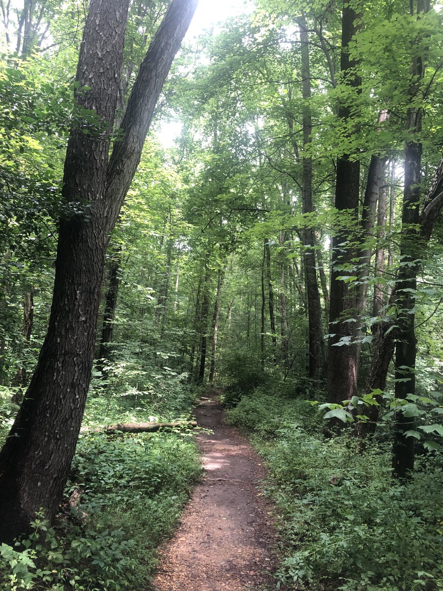 faizjan's tweet image. #HiddenLake #Virginia