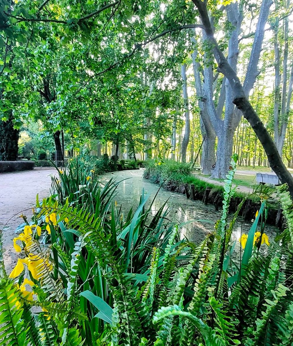 turisme_gi's tweet photo. Als #jardinsdeladevesa🌿🌺 hi trobareu racons ombrívols, nombroses espècies i un brollador⛲️d’estil romàntic cobert de vegetació. Un espai amb encant a tocar del centre de #Girona🤩!  
📸 IG @xavi.vilar/ @patrycia.wrt/ https://t.co/APXc1CIBxt
#gironaemociona #ciutatsambcaràcter https://t.co/JEhhZCvxfP