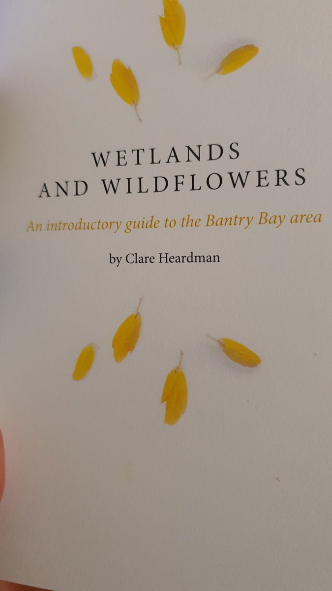 At the launch of @GlengarriffWood beautiful book. 👏👏👏👏 Clare! #WestCork #bantry #wildflowers #ellenhutchins