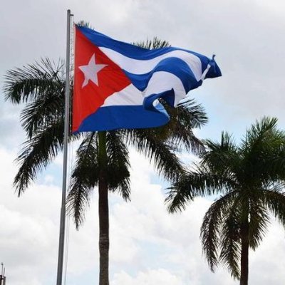 MarioGarcesJim1's tweet photo. Este día 11 la semana inicia distinta en #Cuba. Se siente mucha energía para seguir haciendo revolución. #CubaPorLaPaz
#VamosPorMás https://t.co/FPXyosetul