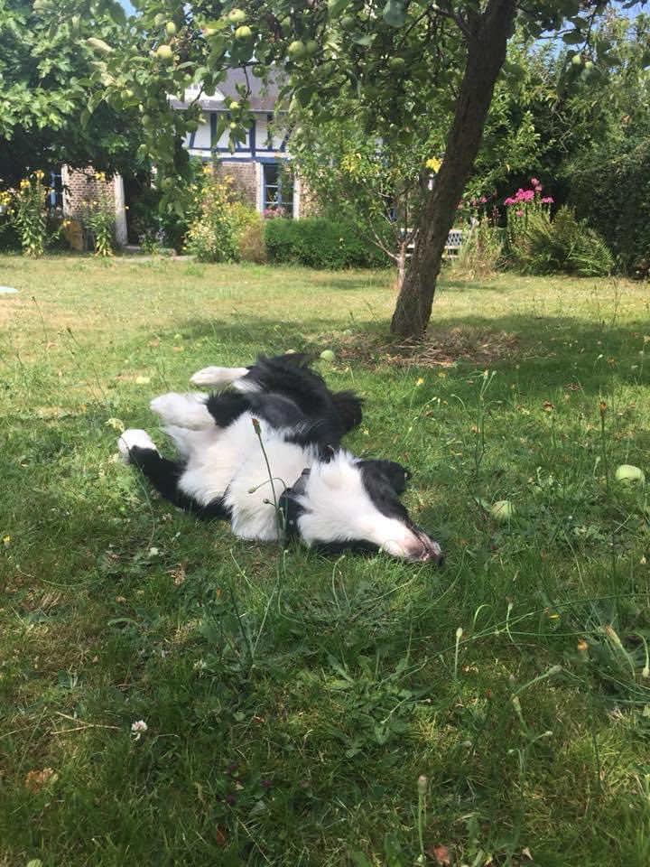 Four years ago today me and Humum started our summer tour of France 🇫🇷 This was our first stop and I was very happy!
