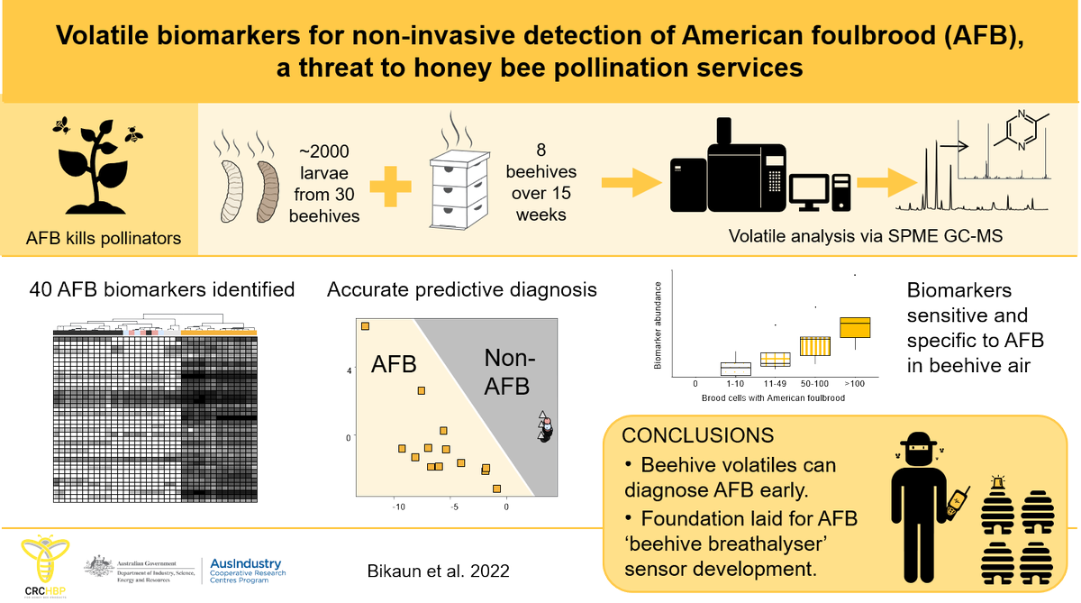 HoneybeesHealth's tweet photo. Our manuscript is finally out! Congratulations @Jessica_M_Bee  
Volatile biomarkers for non-invasive detection of American foulbrood, ... https://t.co/0v4QWZwIWb https://t.co/IHwrToaztO