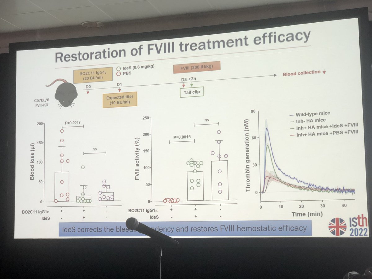 DrGavinL's tweet photo. @Melissa_MBJ great talk on the use of ldeS in temporarily removing neutralising FVIII antibodies to dose FVIII - helpful background on its future therapeutic uses, also being trialed in #genetherapy. #hemophilia #ISTH2022 https://t.co/BFdg1Lj2MP