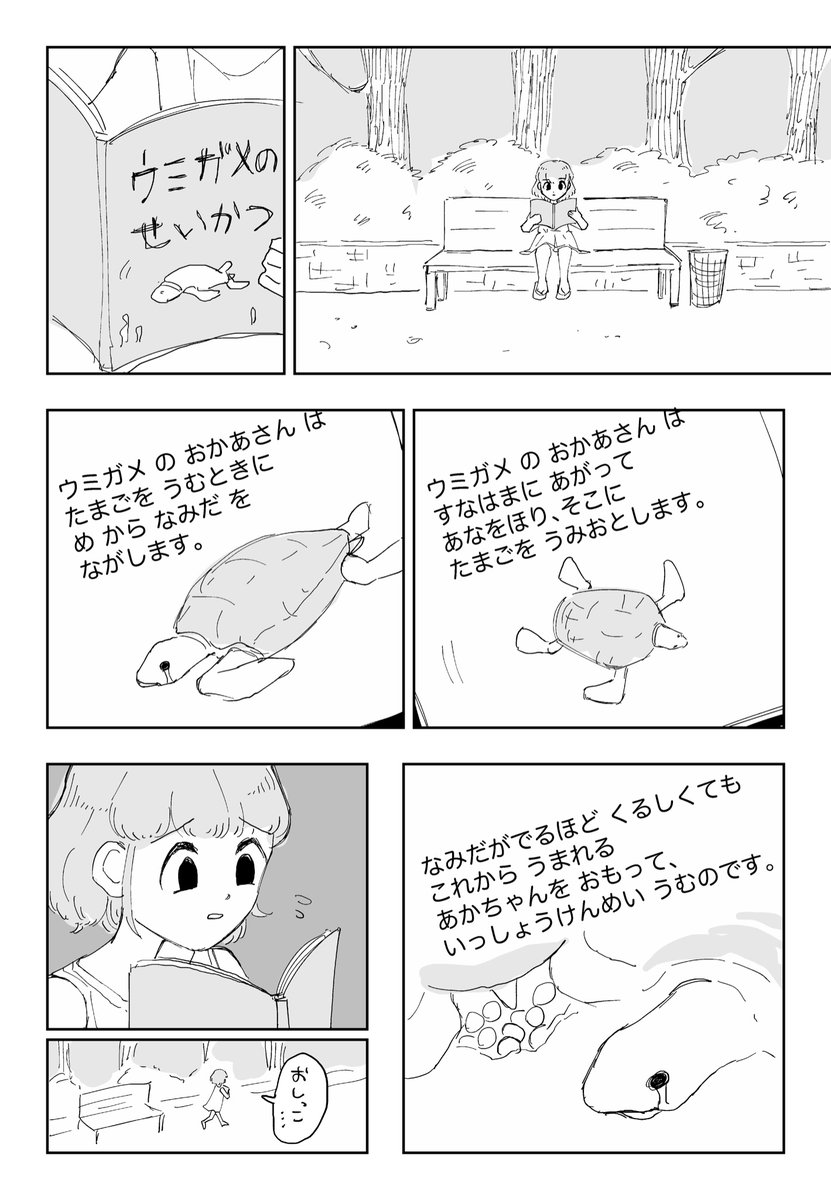 ウミガメの産卵 