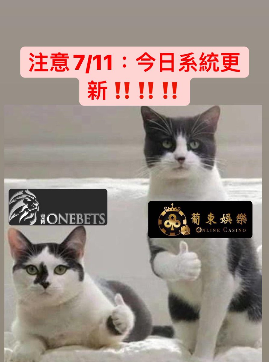Puton03547742's tweet photo. https://t.co/UO6h8KUc99