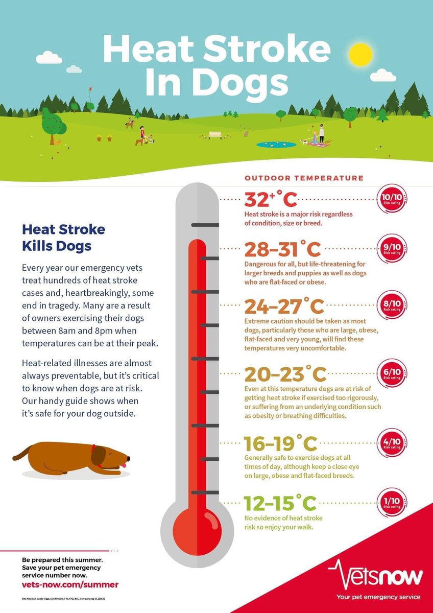No walkies today until after sunset earliest. It’ll still be warm then but the heat of the sun will be gone and it’ll be fresher &amp; far less dangerous. If you own a brachycephalic breed I’d suggest short walk after dark. Take plenty of water with you too. Have a good day all 🐶❤️