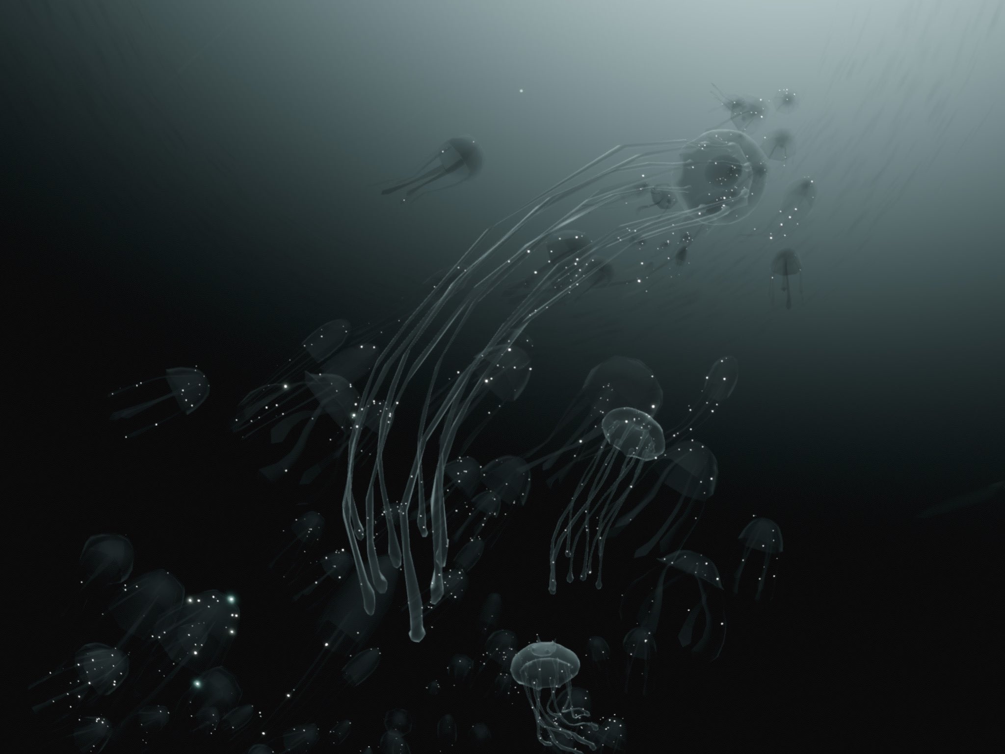 ソルとシュガ 砕ける闇の季節始まりましたね クラゲさんが幻想的でずっと居られる T Co 3swpu6s7fo Twitter