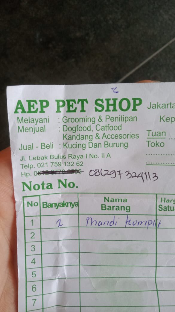 KUCING GW DUA2 NYA DIMANDIIN DISINI DAN SATU ILANG, KATANYA KABUR PAS DILEPASIN DARI CARRIER TAPI BARU NGABARIN PAS DATENG BUAT DIJEMPUT. GAK ADA TANGGUNG JAWAB, GAK LANGSUNG NGEJAR, ALESANNYA KARENA ADA ORANG YANG LAGI MAU BAYAR