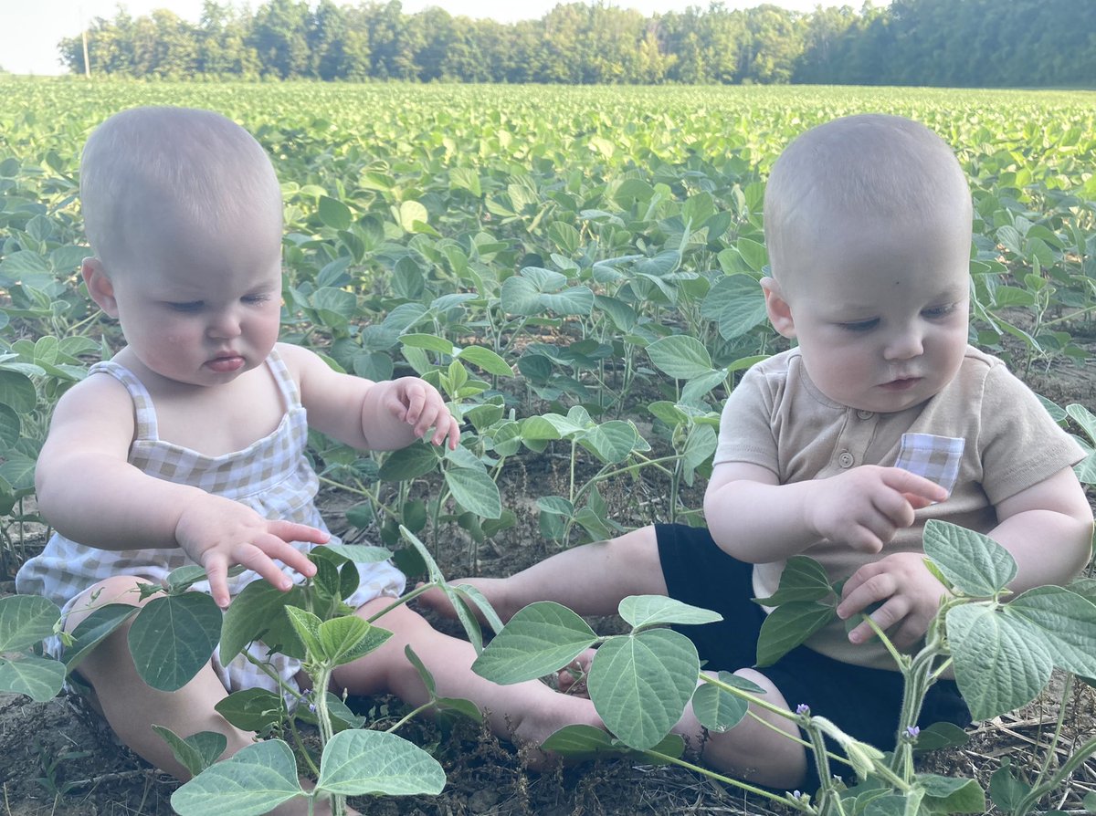 Summer scouts are looking a little young this year <a href="/ParrishHeimbeck/">Parrish & Heimbecker, Ltd</a>
