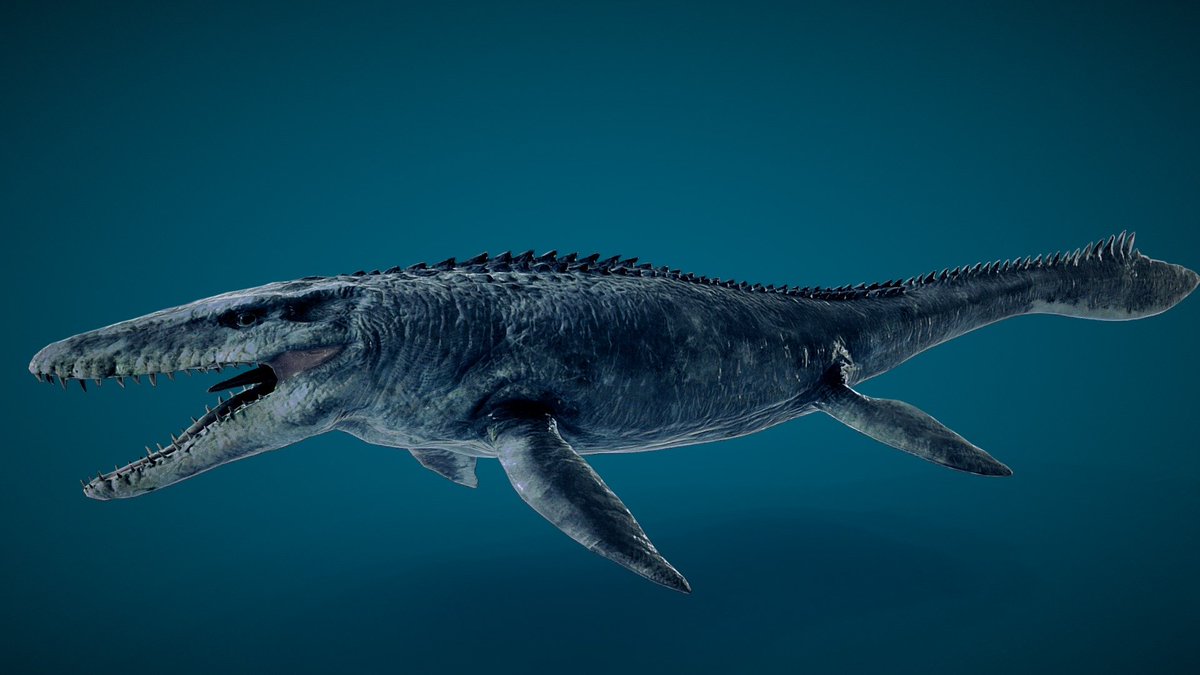 XLR8 🇰🇪 tweet media