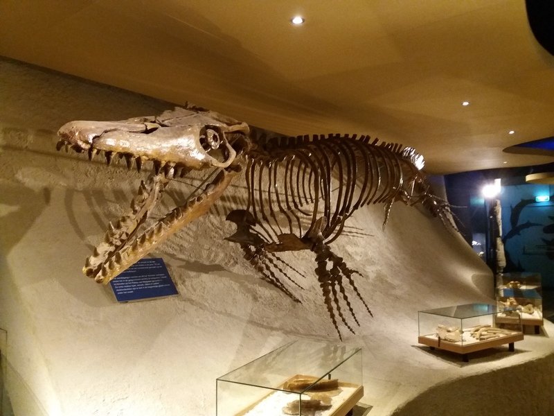 XLR8 🇰🇪 tweet media