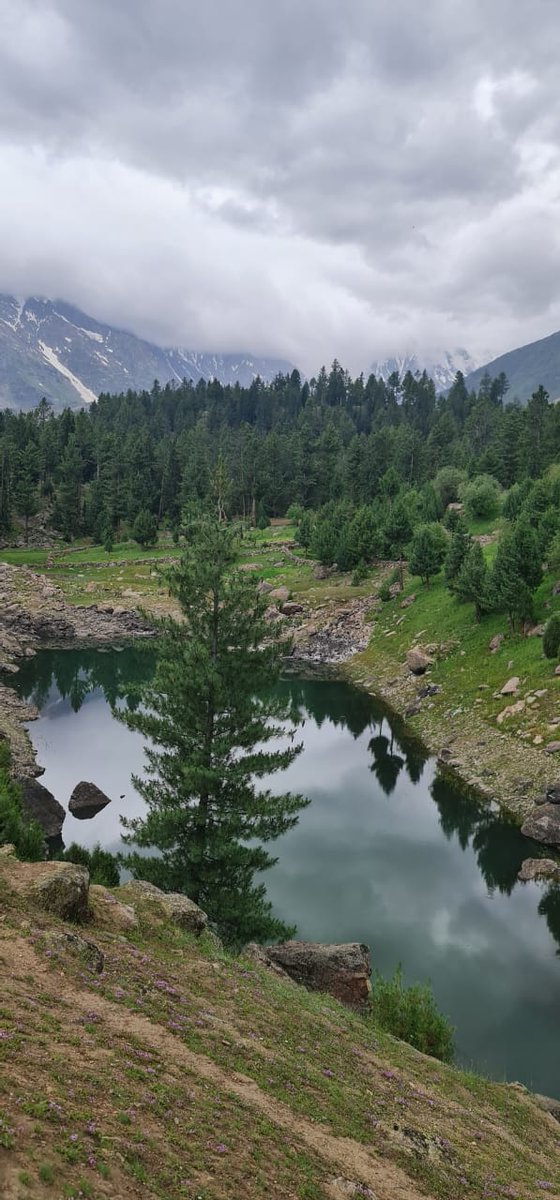 Astore is Ready to Host Enthralling and Thriling Polo Festival at Mesmeric and Fascinating Rama Medow from 15th to 17th July 2022. Come; enjoy scenic beauty, hospitality and the Polo!  <a href="/AbdulKhalidPTI/">Muhammad Khalid Khurshid Khan</a> <a href="/csgbpk/">Office of the Chief Secretary, Gilgit Baltistan</a> <a href="/RNAKOfficial/">Raja Nasir Ali Khan</a> <a href="/gilmour_wendy/">Wendy  Gilmour</a>