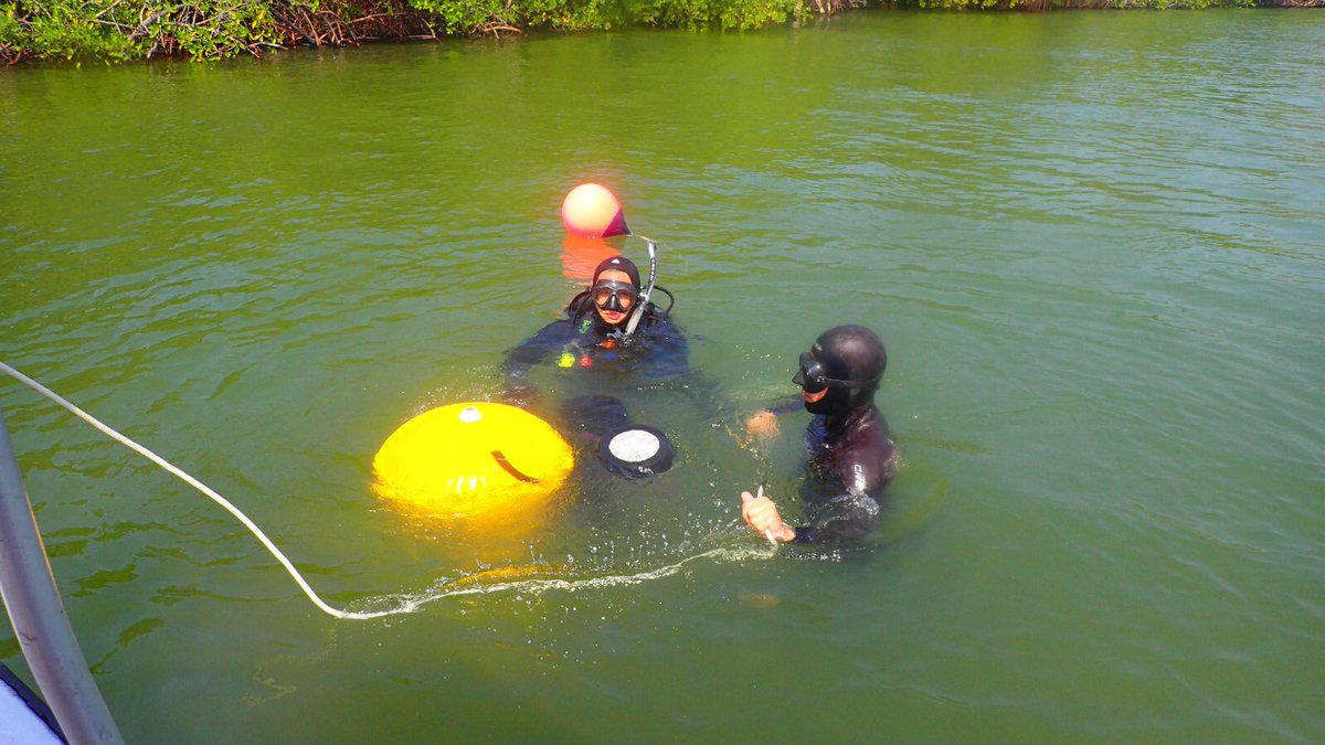 oserranogras's tweet image. Congrats Dr. @cssalinas1 😃! Heaps of great memories, achievements and life-changing experiences over the 5-years #PhD journey. Difficult to express how proud of you I feel my friend @CMER_ECU @CMER_ECU #seagrass #climatechange