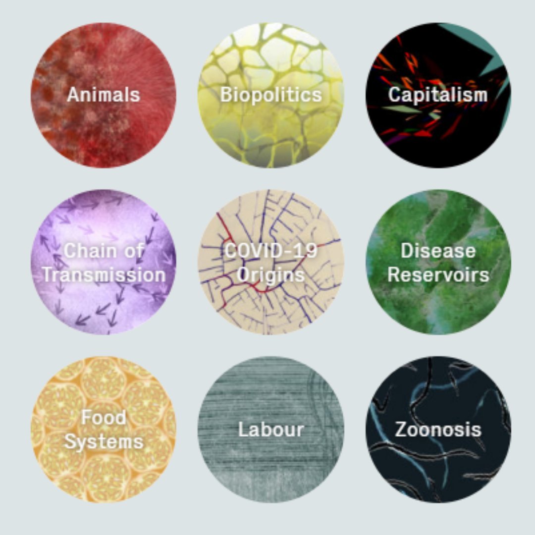 making_vvisible's tweet photo. Have you checked out the #VisualizingTheVirus themed clusters? https://t.co/pnT2V5Vs6b
#animals #biopolitics #activism #colonialism #gender #women #transmission #disease #labour #zoonosis #art https://t.co/FnYra4iOQT