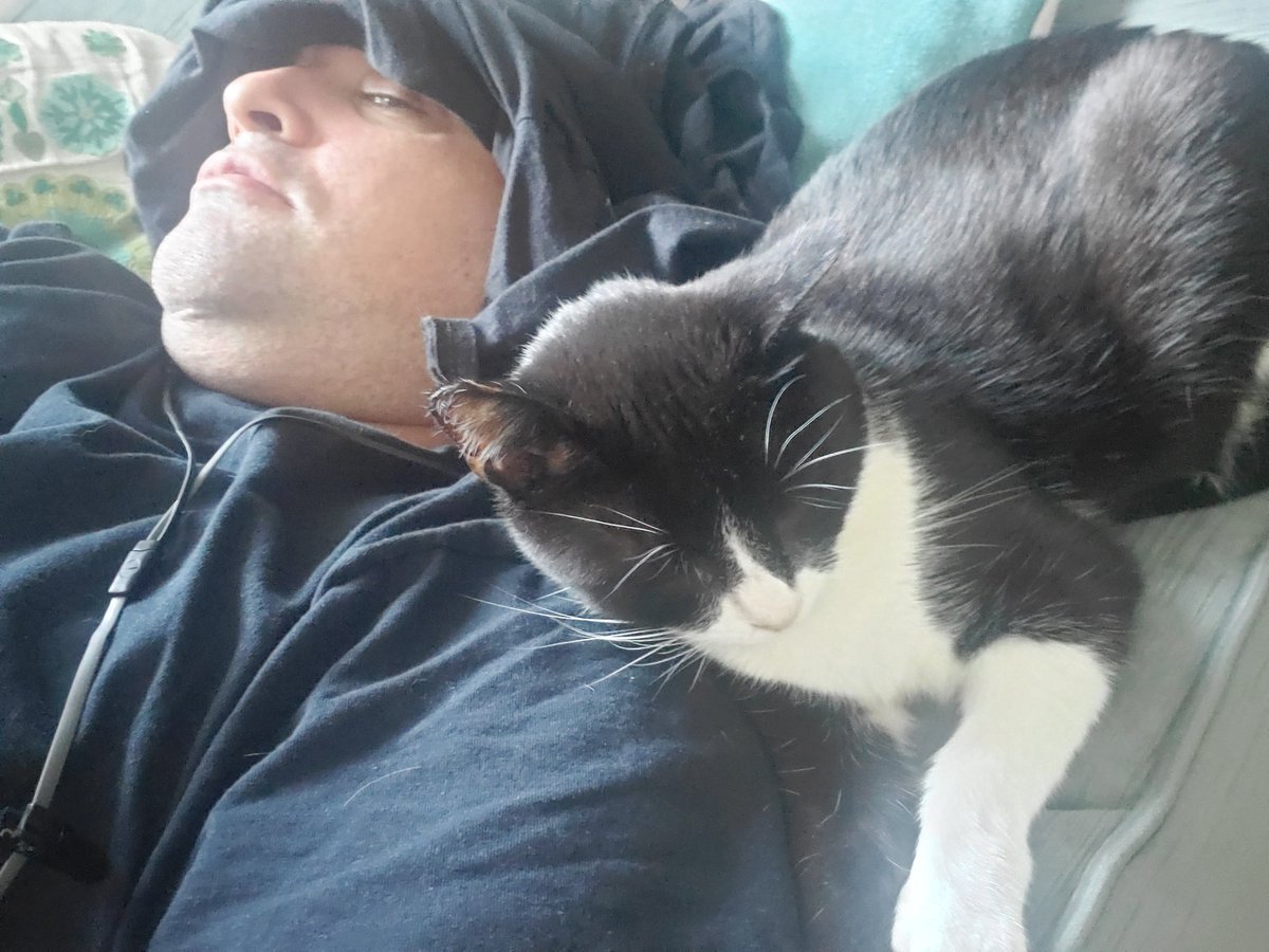 SirYim's tweet photo. Three guesses as to who woke who up at 5am. #brighteyedandbushytailed #CatsOfTwitter https://t.co/UKZj1FCmvH