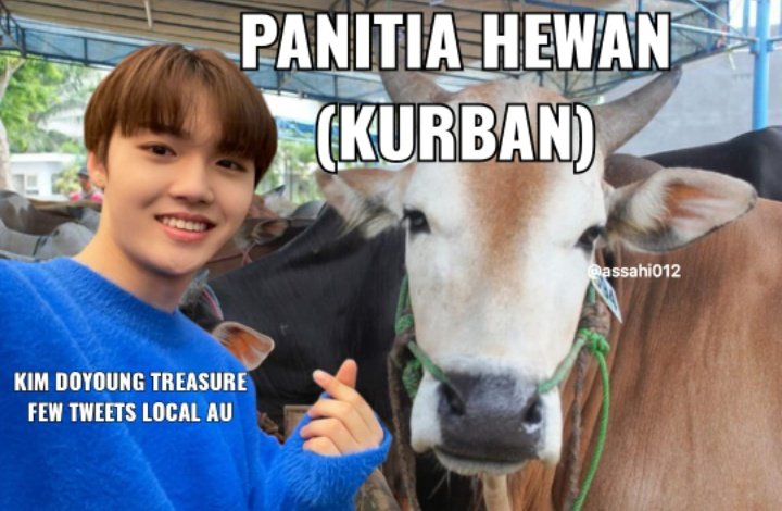 panitia hewan (kurban)

doyoung treasure few tweet local au