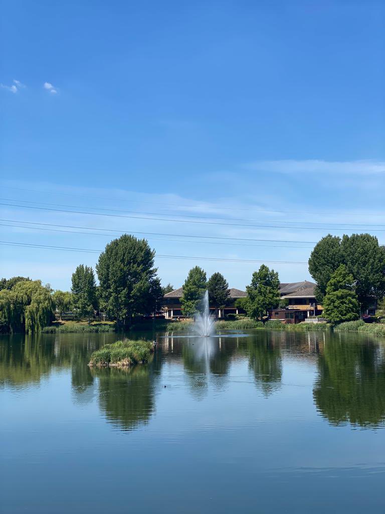 The Wharf tweet media