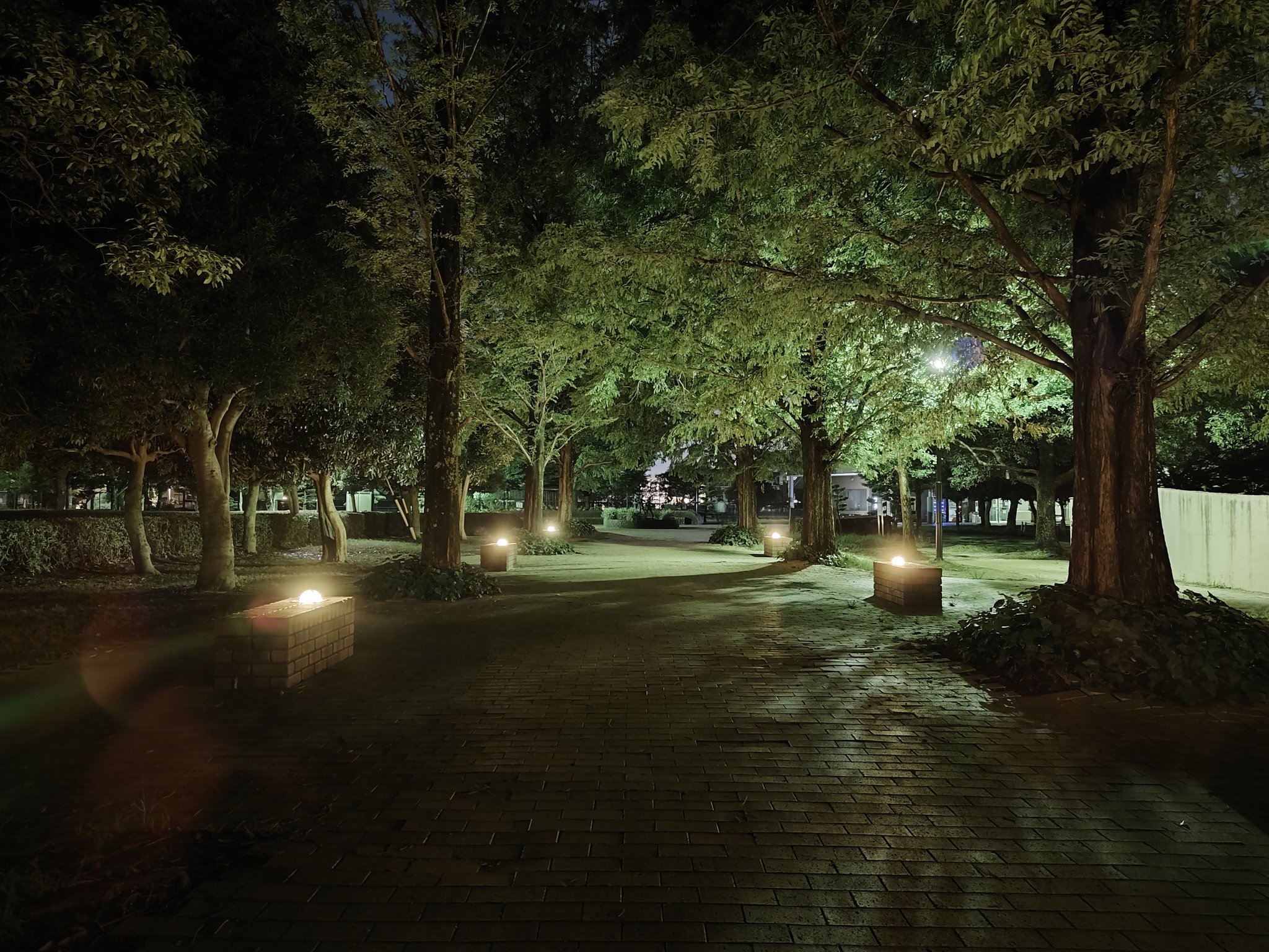 まめこmobile まめこ 暗めの夜の公園にて オートです Aquos R7 Vivo X80 Pro Honor Magic 4 Pro Galaxy S22 Ultra T Co J6g5vbjv7o Twitter