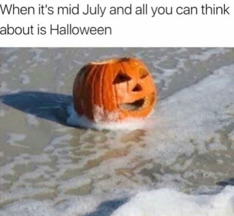 NosCalanGaeaf's tweet photo. ENJOY THE SUNSHINE... SPOOKY TIME IS COMING!
🎃🕸️🎃👻🎃🦇🎃🕸️🎃👻🎃🦇
#Halloween #Heatwave https://t.co/TCQbs4ZU7o
