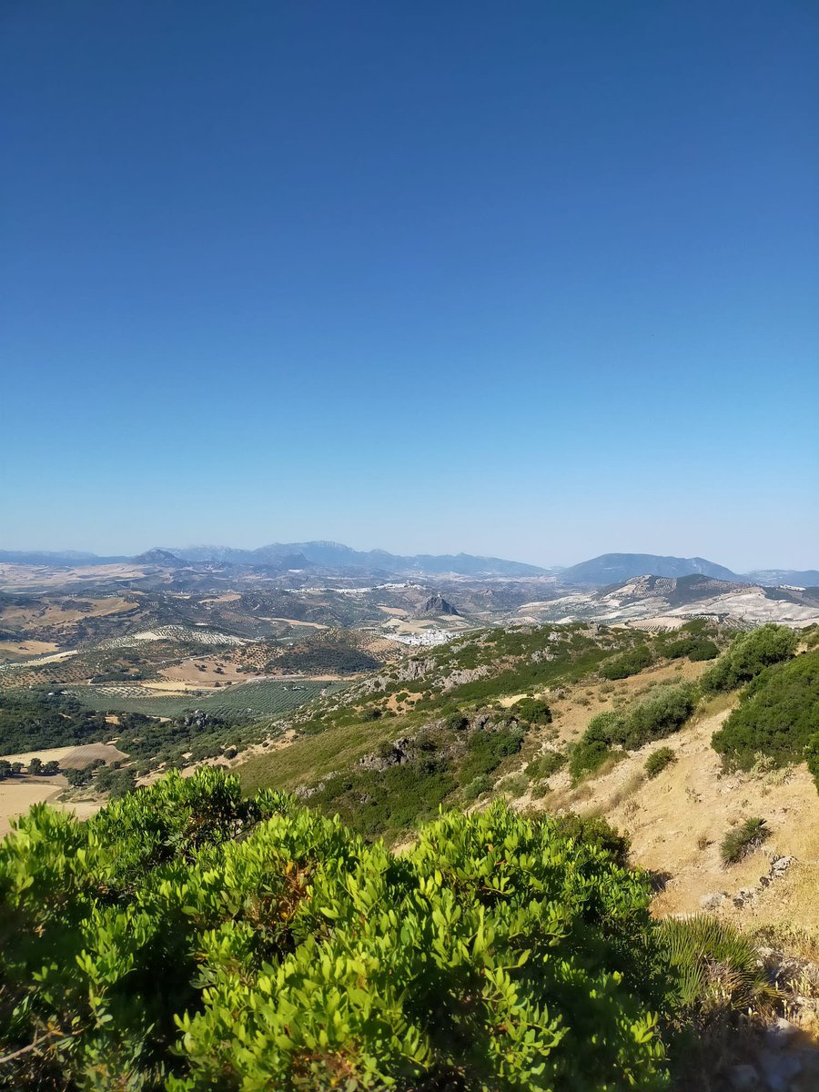 Hasta el alto del Pico Terril en #Sevilla llegamos las personas del proyecto #8cimas

<a href="/ALCER_granada/">ALCERgranada</a> <a href="/AthemaMalaga/">Athema Málaga</a> <a href="/parkinsongranad/">Parkinson Granada</a> <a href="/ContraCancerGRA/">Asociación Española Contra el Cáncer en Granada</a> <a href="/jovenesaccuGRX/">ACCU Jóvenes Granada</a> <a href="/AGRAFIM/">AGRAFIM</a> <a href="/agdem_granada/">Asociación Granadina de Esclerosis Múltiple</a> <a href="/ONCE_oficial/">ONCE</a> <a href="/jovenesaccuGRX/">ACCU Jóvenes Granada</a> <a href="/Accu_granada/">Accu Granada</a> <a href="/AsocOGRA/">AOGRA</a> <a href="/Granabip2014/">Asociación Granabip</a> <a href="/AgradiGranada/">AGRADI</a> <a href="/FEGRADI/">FEGRADI</a>