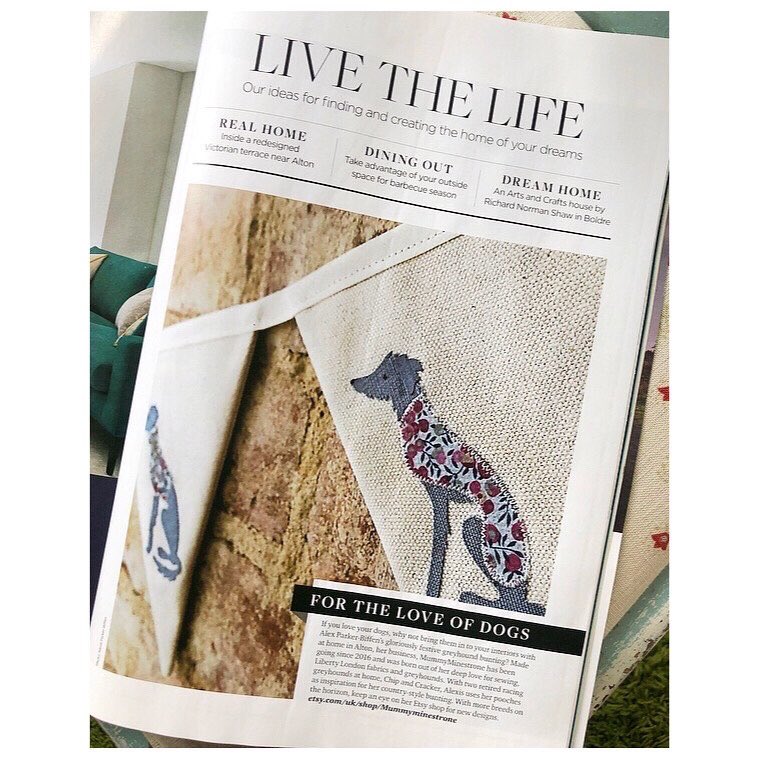 MummyMinestrone's tweet photo. @HampshireLife Thankyou so much for this wonderful feature 🥰
#hampshirelife #Greyhounds #lurcher #beddywhip #sighthounds #DogsofTwittter #retiredgreyhoundtrust https://t.co/MvCNAKCgy1