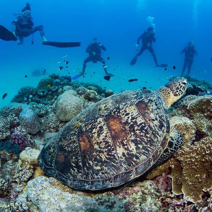 Watch Australia's leaked NSFW photo on TwXstars