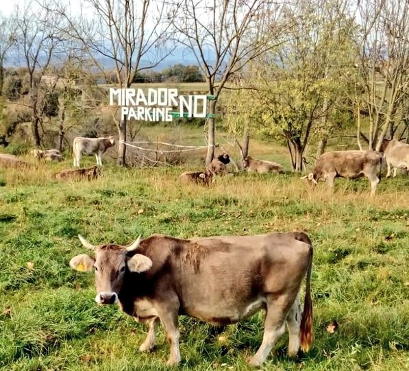 Aquest Dimecres vine a dir NO al mirador de #Perafita #Lluçanès  defensem el poble, la comarca i el territori. Fem sentir la nostre veu 📣
#NiUnPasEnrere ✊🏾