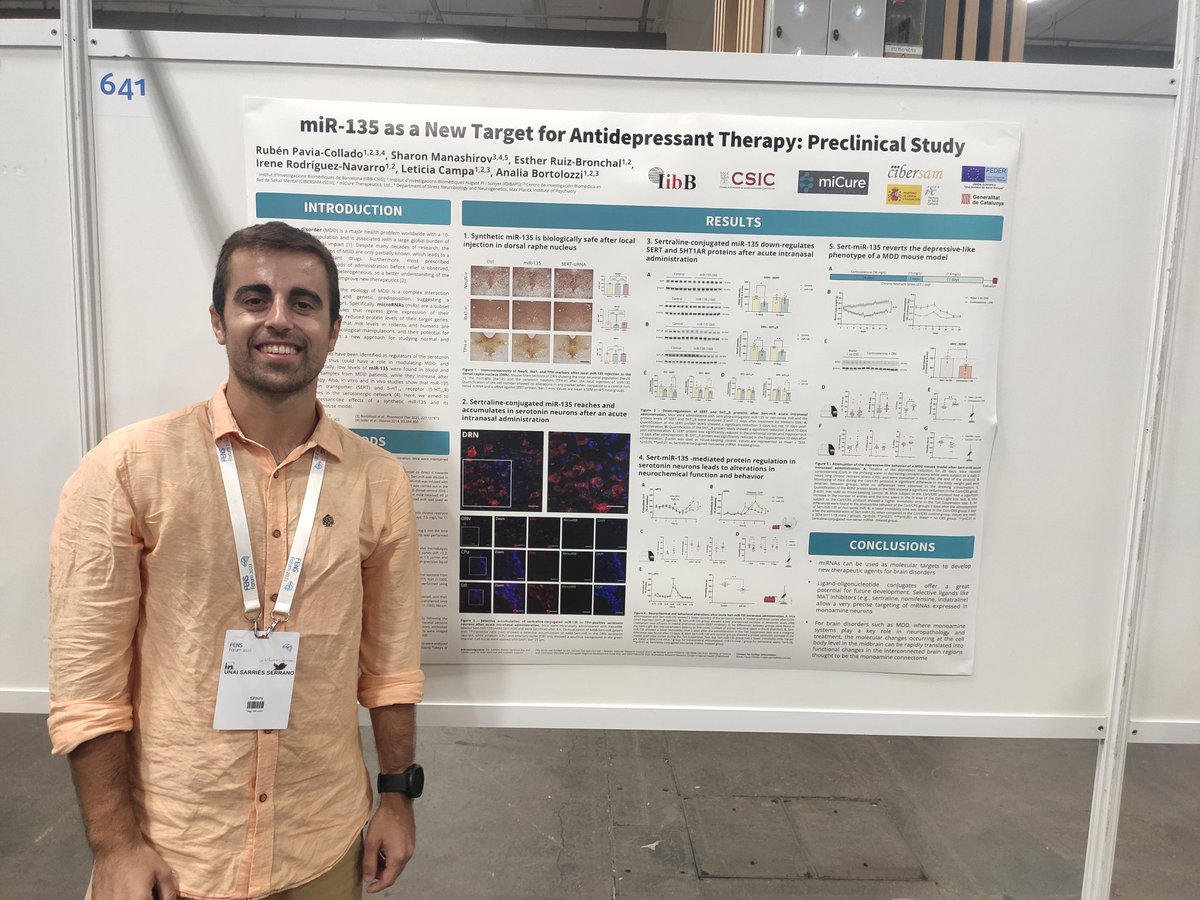Unai Sarriés Serrano (@usarriesserrano) on Twitter photo This afternoon I will be in #FENS2022 poster session S04-641 talking about miR-135 as potential therapeutic target in depression. Do not hesitate to come around and ask! <a href="/aabortolozzi/">Analia Bortolozzi</a> <a href="/iibbcsic/">IIBB - CSIC</a> #MiCureTherapeutics <a href="/FENSorg/">FENS</a> This afternoon I will be in #FENS2022 poster session S04-641 talking about miR-135 as potential therapeutic target in depression. Do not hesitate to come around and ask! <a href="/aabortolozzi/">Analia Bortolozzi</a> <a href="/iibbcsic/">IIBB - CSIC</a> #MiCureTherapeutics <a href="/FENSorg/">FENS</a>